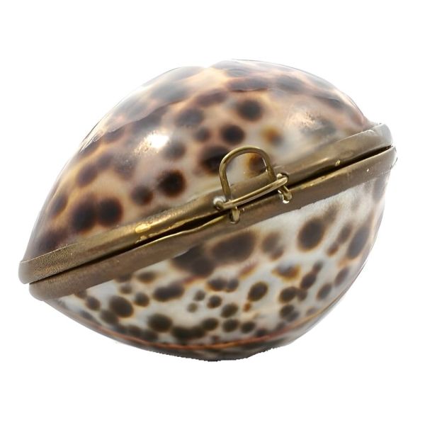 Vintage Polished Tiger Cowrie Shell Brass Frame Trinket Box